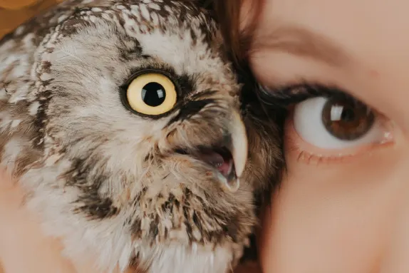 Efbet Casino الدعم